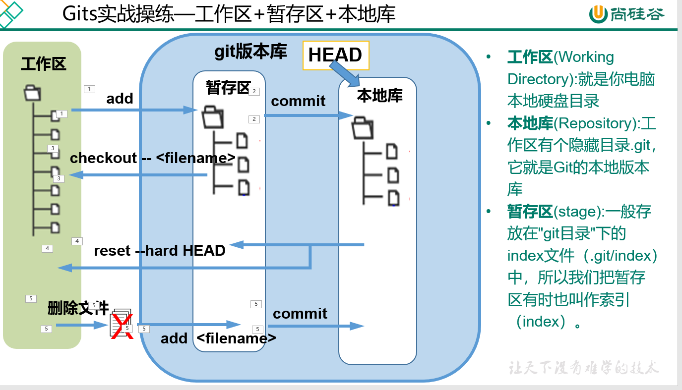 image-20210129113542893